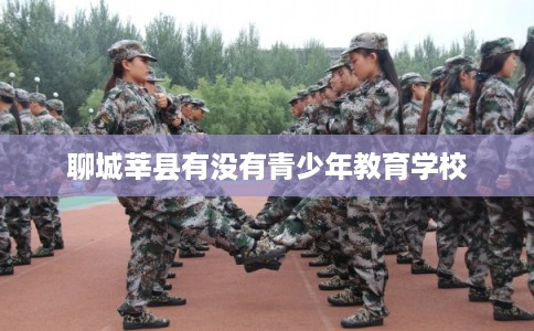 聊城莘县有没有青少年教育学校