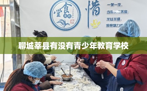 聊城莘县有没有青少年教育学校