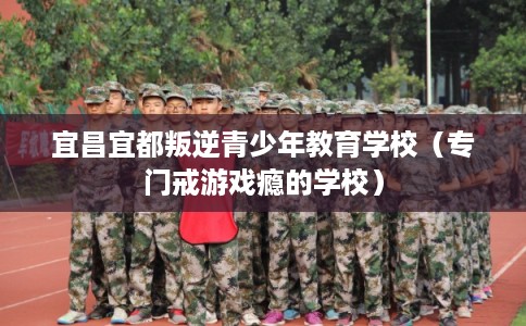 宜昌宜都叛逆青少年教育学校（专门戒游戏瘾的学校）