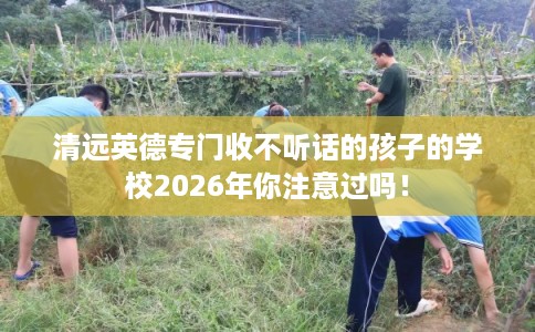 清远英德专门收不听话的孩子的学校2026年你注意过吗！