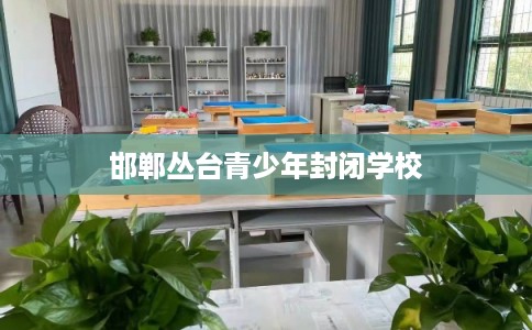 邯郸丛台青少年封闭学校