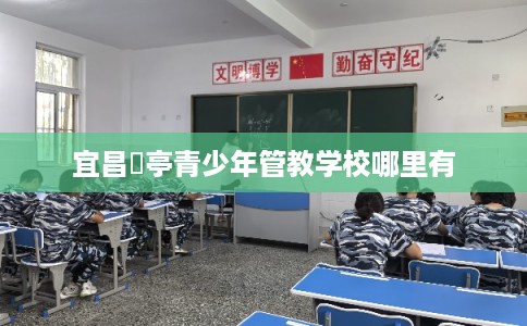 宜昌猇亭青少年管教学校哪里有