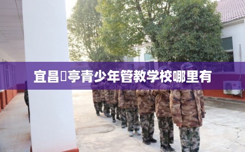 宜昌猇亭青少年管教学校哪里有