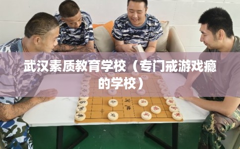 武汉素质教育学校（专门戒游戏瘾的学校）