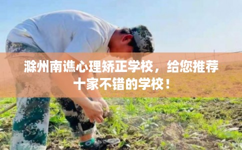 滁州南谯心理矫正学校，给您推荐十家不错的学校！