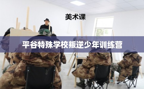 平谷特殊学校叛逆少年训练营