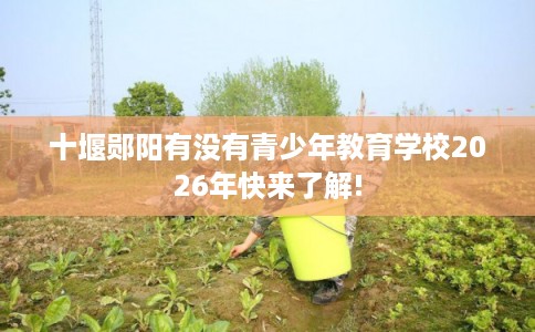 十堰郧阳有没有青少年教育学校2026年快来了解!