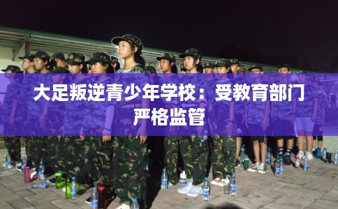 大足叛逆青少年学校：受教育部门严格监管