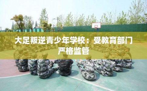 大足叛逆青少年学校：受教育部门严格监管