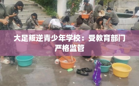 大足叛逆青少年学校：受教育部门严格监管