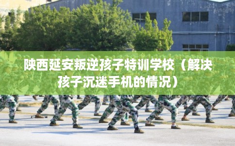 陕西延安叛逆孩子特训学校（解决孩子沉迷手机的情况）
