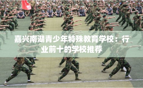 嘉兴南湖青少年特殊教育学校：行业前十的学校推荐