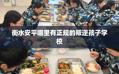 衡水安平哪里有正规的叛逆孩子学校