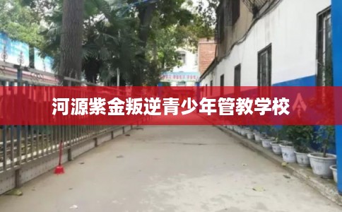 河源紫金叛逆青少年管教学校