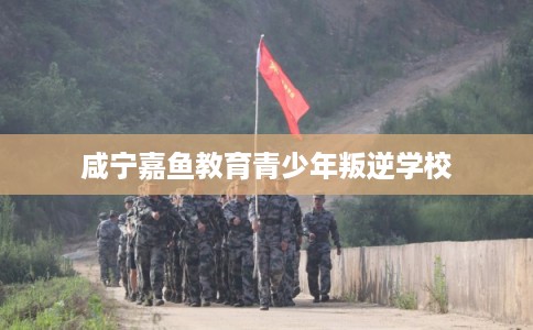 咸宁嘉鱼教育青少年叛逆学校