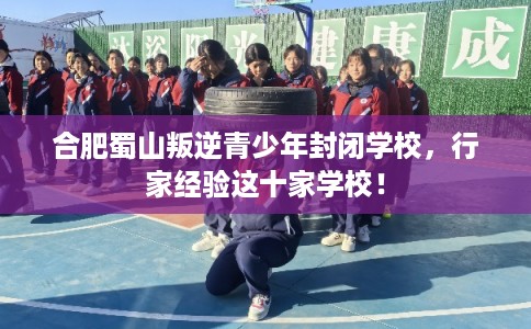 合肥蜀山叛逆青少年封闭学校,行家经验这十家学校! 合肥蜀山叛逆青少年封闭学校,行家经验这十家学校!