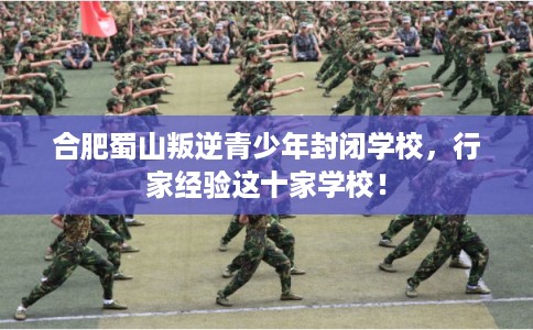 合肥蜀山叛逆青少年封闭学校，行家经验这十家学校！