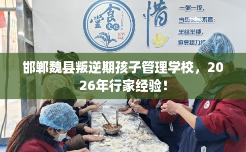 邯郸魏县叛逆期孩子管理学校，2026年行家经验！