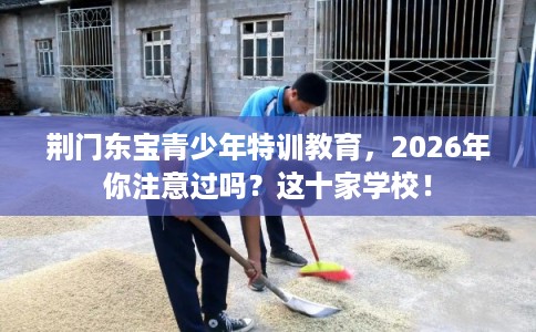 荆门东宝青少年特训教育,2026年你注意过吗?这十家学校! 荆门东宝青少年特训教育,2026年你注意过吗?这十家学校!