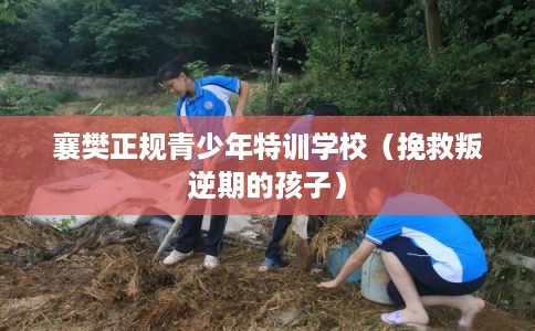 襄樊正规青少年特训学校（挽救叛逆期的孩子）