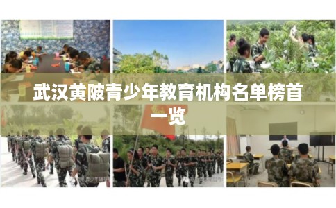 武汉黄陂青少年教育机构名单榜首一览