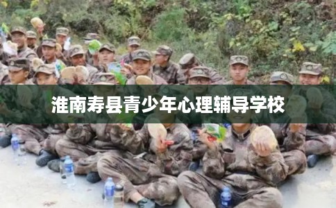 淮南寿县青少年心理辅导学校