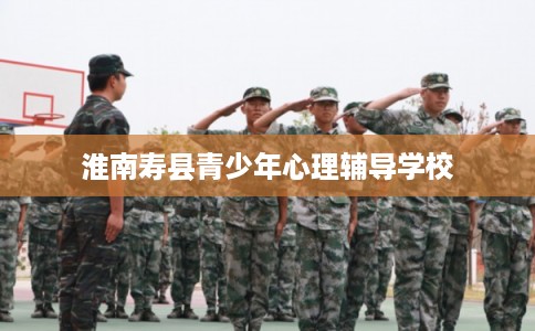 淮南寿县青少年心理辅导学校