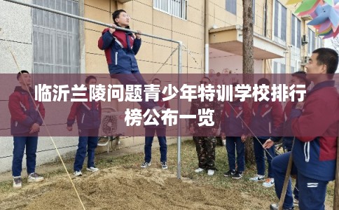临沂兰陵问题青少年特训学校排行榜公布一览