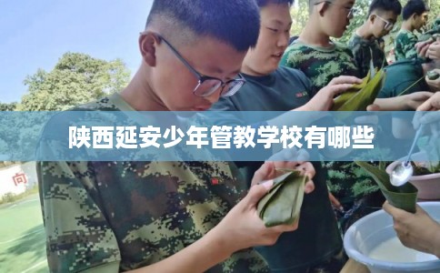 陕西延安少年管教学校有哪些