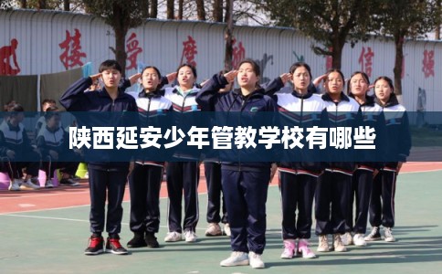 陕西延安少年管教学校有哪些