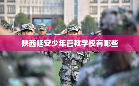 陕西延安少年管教学校有哪些