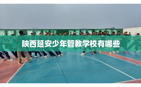 陕西延安少年管教学校有哪些