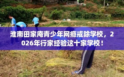 淮南田家庵青少年网瘾戒除学校，2026年行家经验这十家学校！