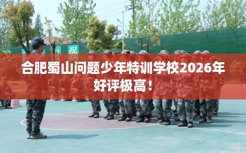 合肥蜀山问题少年特训学校2026年好评极高！