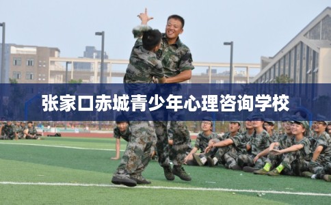 张家口赤城青少年心理咨询学校