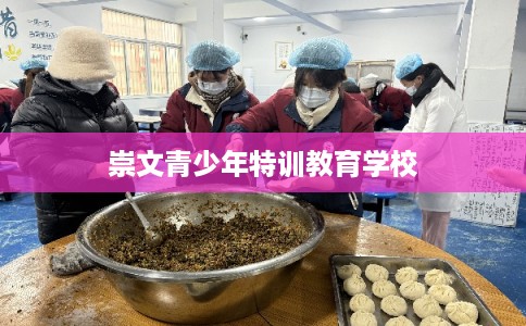 崇文青少年特训教育学校
