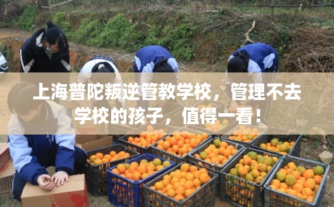 上海普陀叛逆管教学校，管理不去学校的孩子，值得一看！