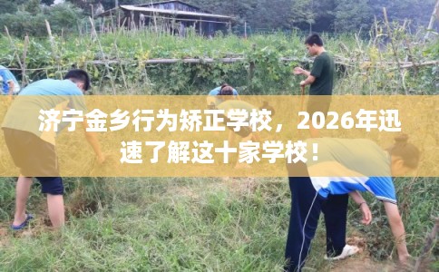 济宁金乡行为矫正学校，2026年迅速了解这十家学校！