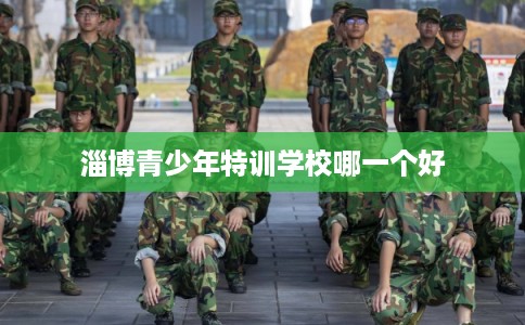 淄博青少年特训学校哪一个好