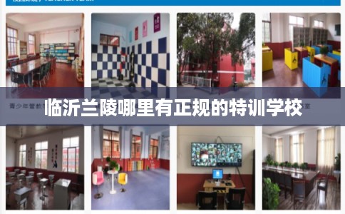 临沂兰陵哪里有正规的特训学校