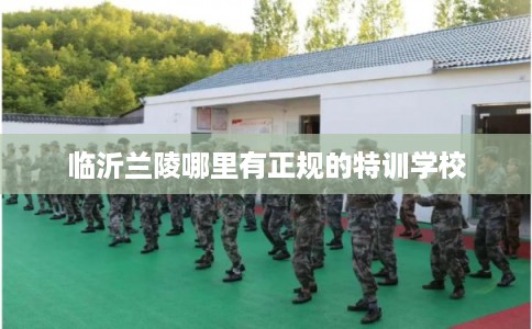 临沂兰陵哪里有正规的特训学校