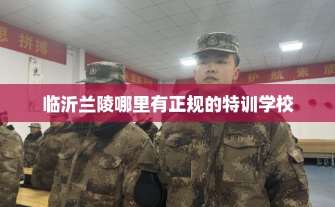 临沂兰陵哪里有正规的特训学校
