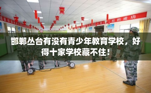邯郸丛台有没有青少年教育学校，好得十家学校藏不住！