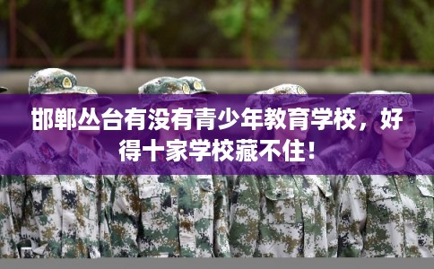 邯郸丛台有没有青少年教育学校，好得十家学校藏不住！