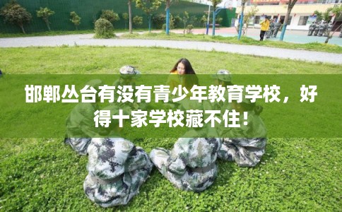 邯郸丛台有没有青少年教育学校，好得十家学校藏不住！
