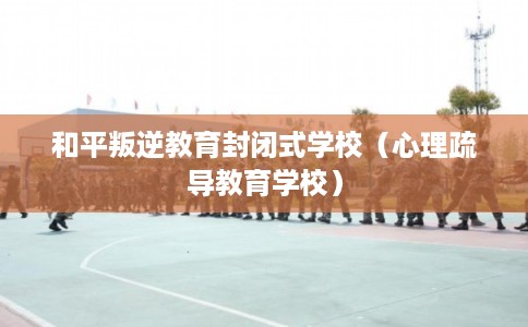 和平叛逆教育封闭式学校（心理疏导教育学校）