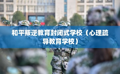 和平叛逆教育封闭式学校（心理疏导教育学校）