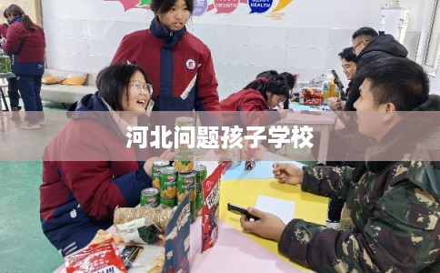 河北问题孩子学校