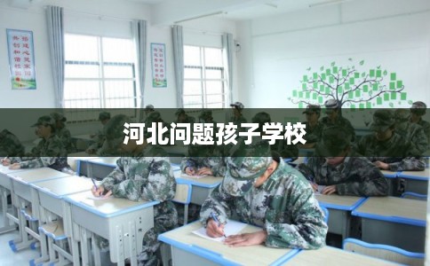 河北问题孩子学校