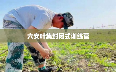 六安叶集封闭式训练营